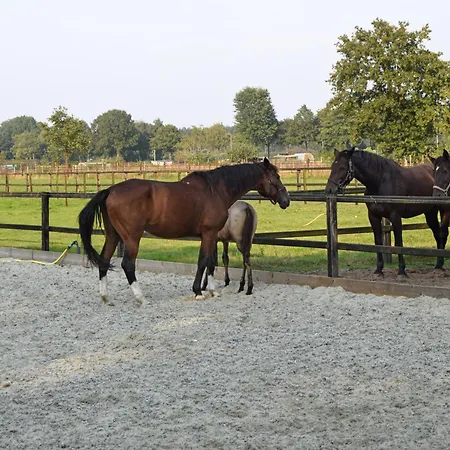 Tatil Evi Het Rustend Hert *