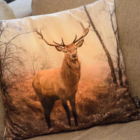 Het Rustend Hert Tatil Evi Drunen