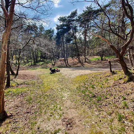 Het Rustend Hert Tatil Evi