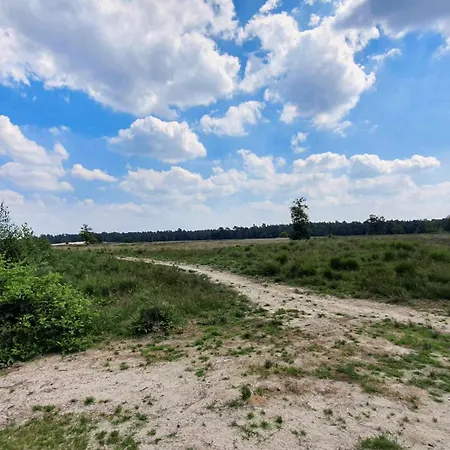 Tatil Evi Het Rustend Hert