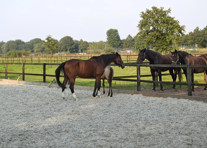 Σπίτι διακοπών Het Rustend Hert *