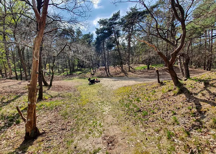 Het Rustend Hert Σπίτι διακοπών