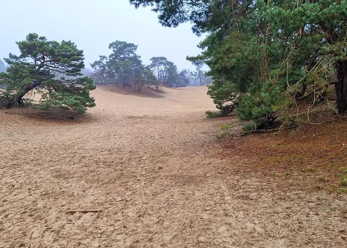 Het Rustend Hert Σπίτι διακοπών