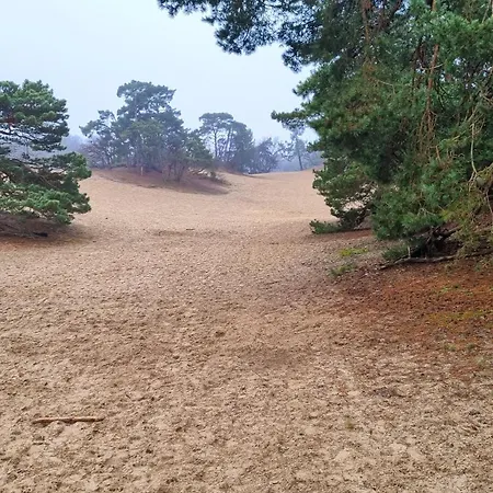 Het Rustend Hert 別荘